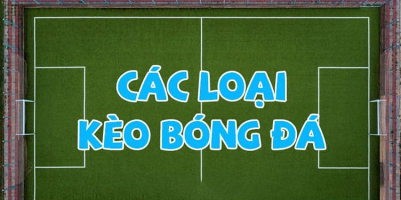 Các Loại Kèo Bóng Đá Phổ Biến Nhất Bạn Cần Phải Biết 2024